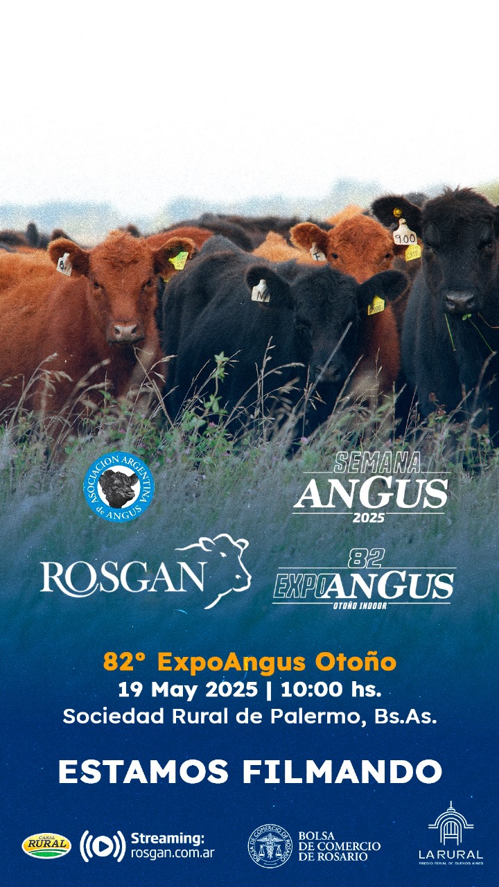 Imagen de Rosgan "82º Expo Angus"